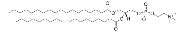 18:0-18:1 PC 1-stearoyl-2-oleoyl-sn-glycero-3-phosphocholine, chloroform