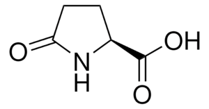 L-焦谷氨酸 ≥99.0% (T)