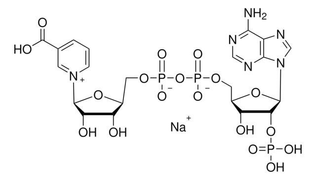 Nicotinic acid adenine dinucleotide phosphate sodium salt &#8805;92.5%