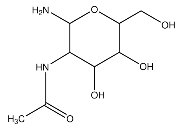 2-Acetamido-2-deoxy-&#946;-D-glucopyranosylamine 97% (HPLC)