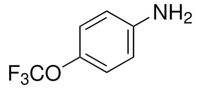 4-(Trifluoromethoxy)aniline 98%