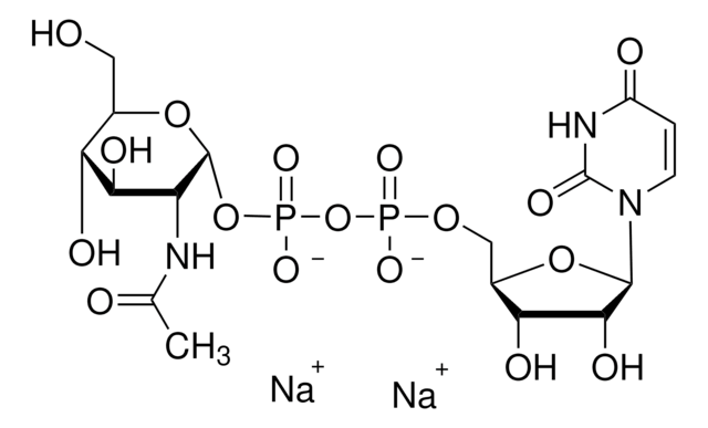 Uridine 5&#8242;-diphospho-N-acetylglucosamine sodium salt &#8805;98%