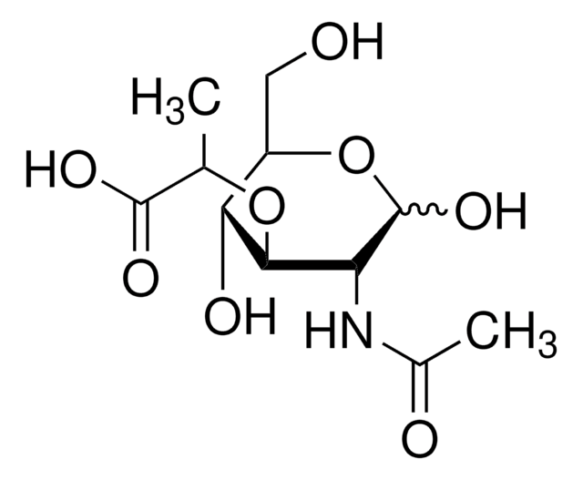 N-乙酰胞壁酸 &#8805;98%