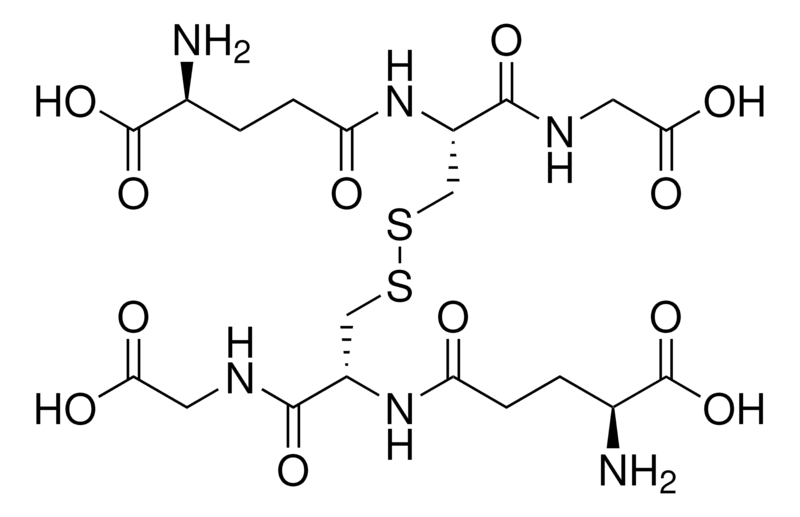 oxidized glutathione vs reduced L -Glutathione oxidized = 98 HPLC 27025-41-8
