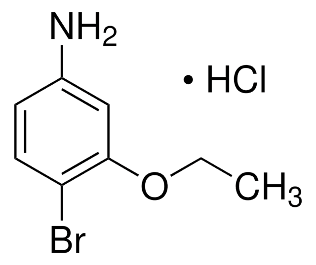 4-溴-3-乙氧基苯胺 盐酸盐 98.0% (T)