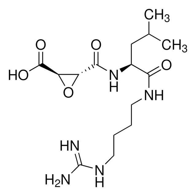 E-64 N-[N-(L-3-Trans-carboxirane-2-carbonyl)-L-leucyl]-agmatine