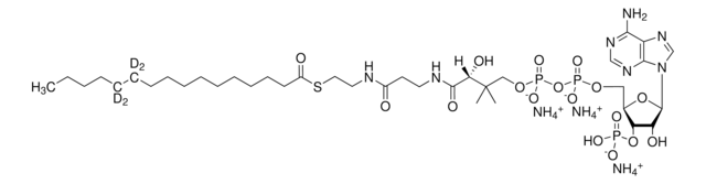 16：0（d4）辅酶A Avanti Polar Lipids, powder