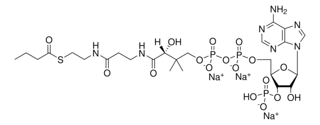 辅酶 A，04:0 Avanti Polar Lipids 870704P, powder