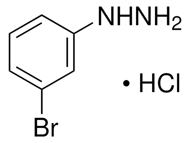 3-Bromophenylhydrazine hydrochloride 98%