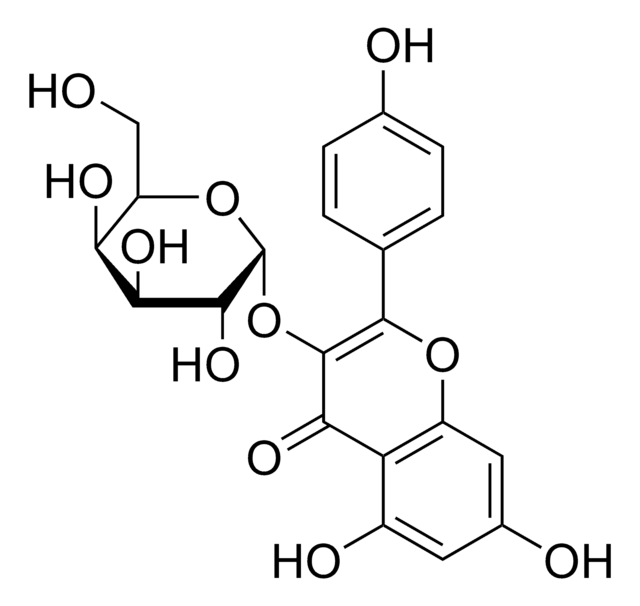 Kaempferol 3-O-D-galactoside &#8805;90% (LC/MS-ELSD)