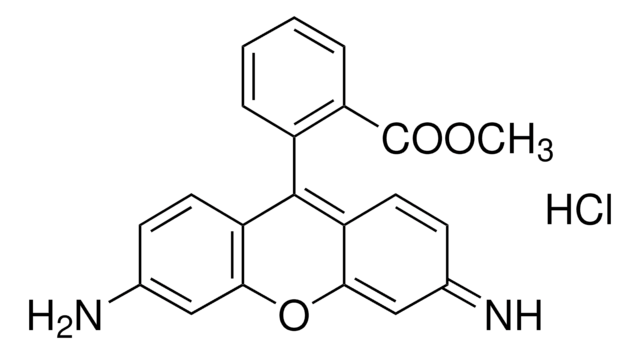 Rhodamine 123 BioReagent, for fluorescence, &#8805;85% (HPLC)