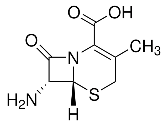 7-Aminodesacetoxycephalosporanic acid