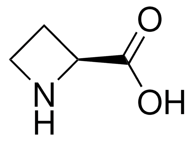 L -氮杂环丁烷-2-羧酸 &#8805;99%