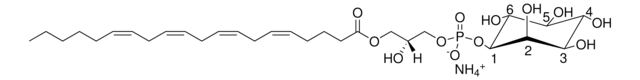 20:4 Lyso PI 1-arachidonoyl-2-hydroxy-sn-glycero-3-phosphoinositol (ammonium salt), powder