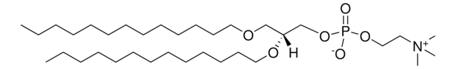 13:0 Diether PC Avanti Polar Lipids 999988P, powder