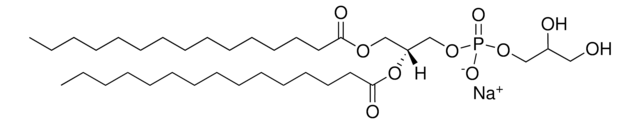 15:0 PG 1,2-dipentadecanoyl-sn-glycero-3-phospho-(1&#8242;-rac-glycerol) (sodium salt), powder