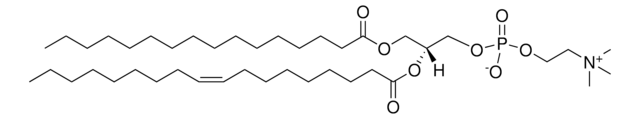 16:0-18:1 PC 1-palmitoyl-2-oleoyl-sn-glycero-3-phosphocholine, chloroform