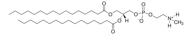 16:0 Monomethyl PE 1,2-dipalmitoyl-sn-glycero-3-phosphoethanolamine-N-methyl, powder