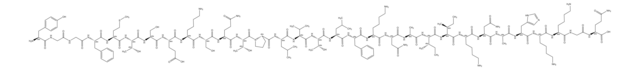 &#946;-Endorphin bovine, camel, ovine &#8805;97% (HPLC)