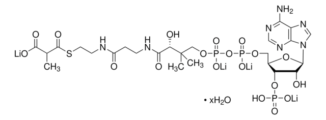 甲基丙二酰辅酶A 四锂盐 水合物 &#8805;90% (HPLC)