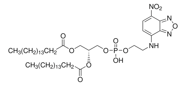 1,2-Dipalmitoyl-sn-glycero-3-phosphoethanolamine, 7-nitrobenzofurazan-labeled ammonium salt, &#8805;98.0% (TLC)