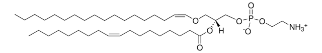 C18(Plasm)-18:1 PE 1-(1Z-octadecenyl)-2-oleoyl-sn-glycero-3-phosphoethanolamine, powder