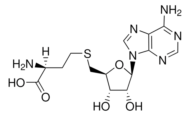 S-Adenosyl-L-homocysteine United States Pharmacopeia (USP) Reference Standard