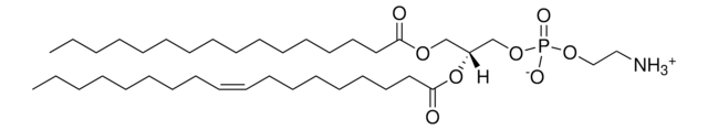 磷脂酰乙醇胺(16:0-18:1 PE) Avanti Polar Lipids