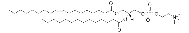 18:1-14:0 PC 1-oleoyl-2-myristoyl-sn-glycero-3-phosphocholine, powder