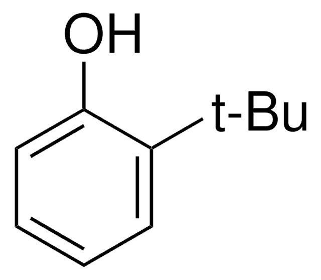 2-叔丁基苯酚 99%