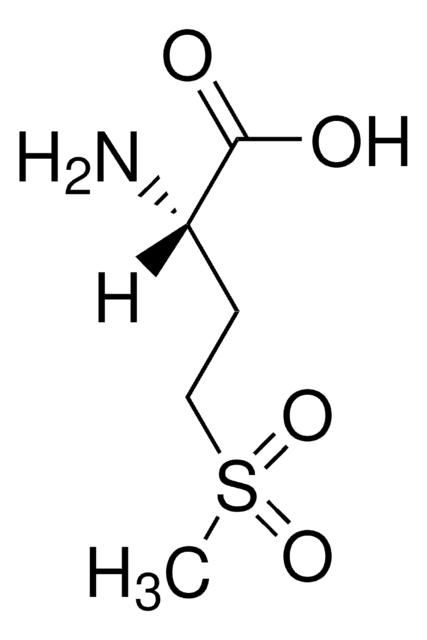 L -蛋氨酸砜