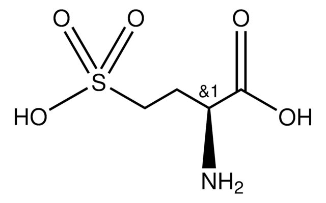 L-同型半胱氨酸 &#8805;95%