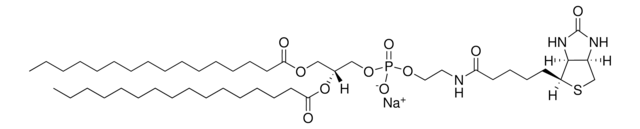 16:0 生物素 PE Avanti Polar Lipids 870285P, powder