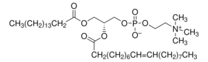 2-Oleoyl-1-palmitoyl-sn-glycero-3-phosphocholine ≥99.0% (TLC)