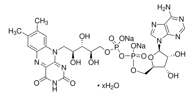 Flavin adenine dinucleotide disodium salt hydrate &#8805;95% (HPLC), powder