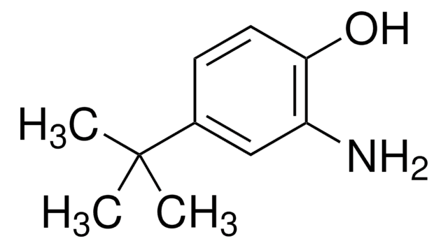 2-Amino-4-tert-butylphenol 98%