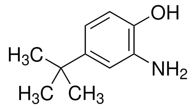 2-氨基-4-叔丁基苯酚 98%