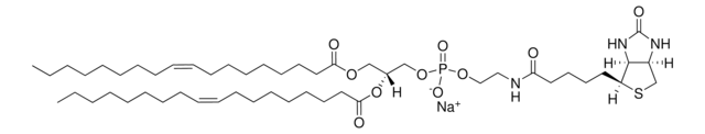 18:1 Biotinyl PE Avanti Polar Lipids 870282C