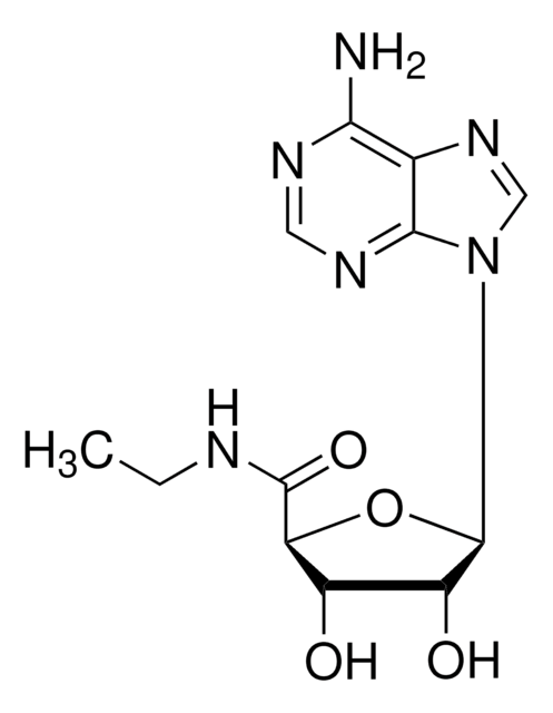 腺苷受体激动肽，NECA