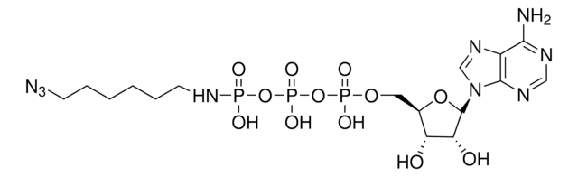 &#947;-[(6-Azidohexyl)-imido]-ATP sodium salt
