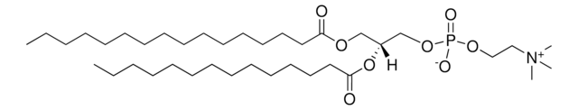 16:0-14:0 PC 1-palmitoyl-2-myristoyl-sn-glycero-3-phosphocholine, powder