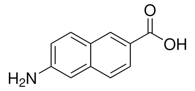 6-氨基-2-萘酸 90%