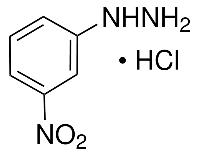 3-硝基苯肼 盐酸盐 98%