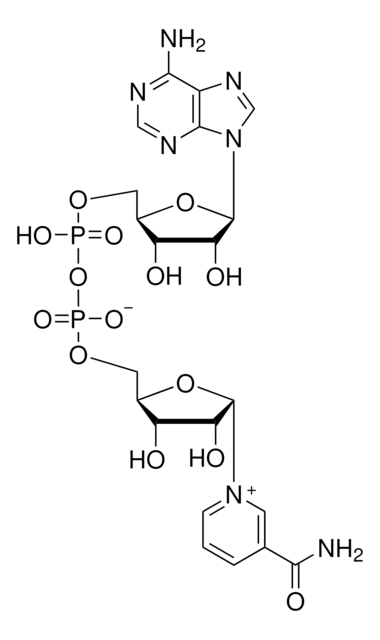 &#945;-Nicotinamide adenine dinucleotide from Saccharomyces cerevisiae, &#8804;1% &#946;-isomer, &#8805;95%
