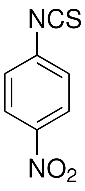 4-硝基苯基异硫氰酸酯 98%