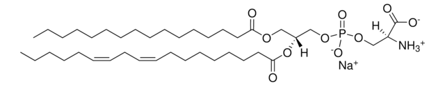 16:0-18:2 PS 1-palmitoyl-2-linoleoyl-sn-glycero-3-phospho-L-serine (sodium salt), powder