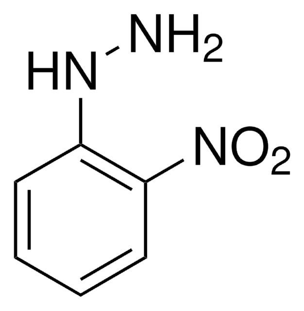 2-硝基苯肼 97%