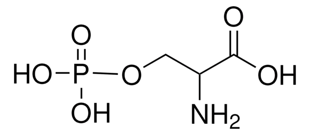 O-磷酸-DL-丝氨酸 &#8805;98.0% (NT)