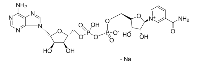 &#946;-Nicotinamide adenine dinucleotide sodium salt