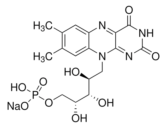 核黄素5&#8242;-单磷酸 钠盐 British Pharmacopoeia (BP) Reference Standard